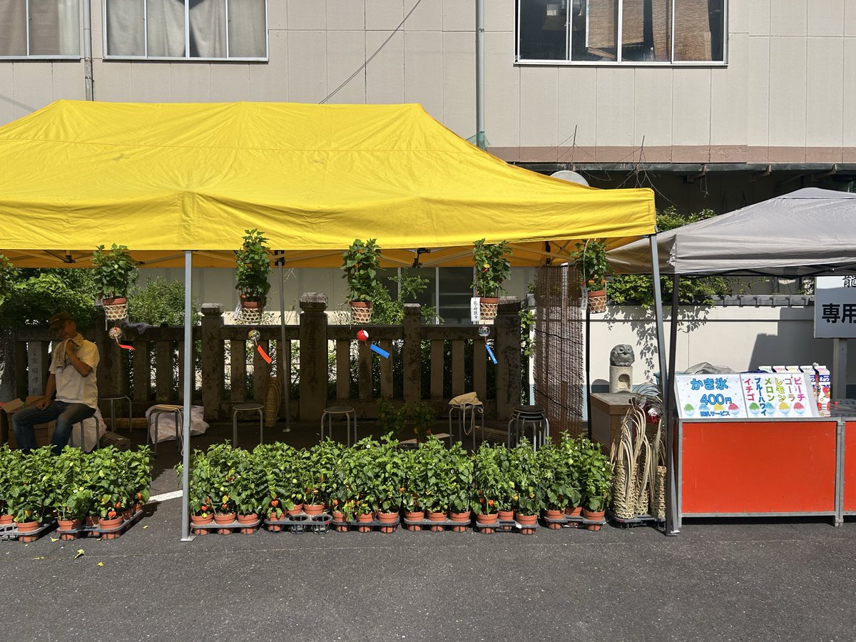kokumankai's tweet photo. ほおづき市
龍ケ崎観音四万六千日 https://t.co/6smxaqF2JF