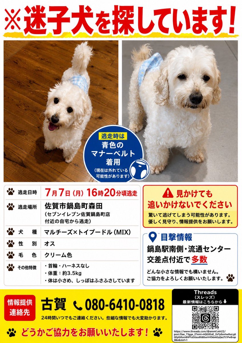 1m7A56cOIT3584's tweet photo. 拡散お願いします🙇🙇🙇

#迷い犬　#佐賀 https://t.co/FmuYhP8xcy