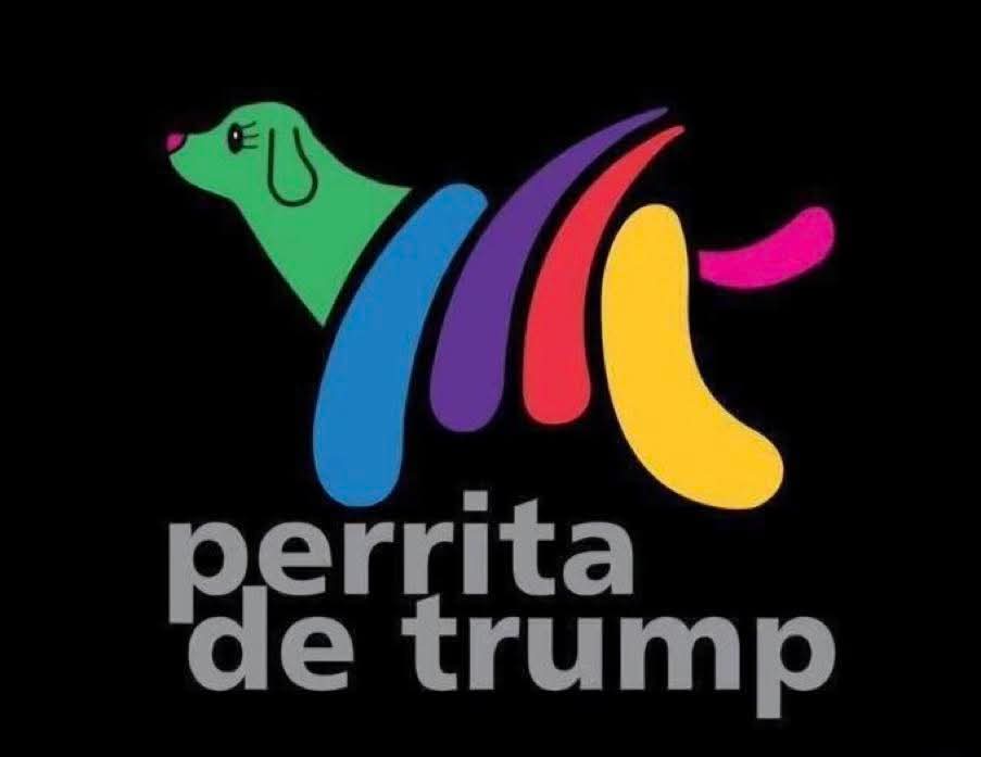 Brandon40625803's tweet photo. @RicardoBSalinas Pero todos sabemos lo que es el usurero evasor de impuestos, porque prefirió lamer botas  políticas que entender a su audiencia.
Porque el talento para innovar se le seco hace años... no construye empresas, construye castillos de naipes basados en publicidad y favores políticos. https://t.co/L5tkG8MsbT