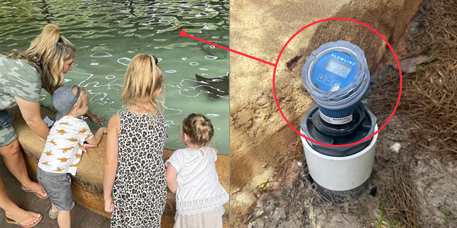 flowlinelevel's tweet photo. Jacksonville Zoo Pool Exhibit Ultrasonic Level Measurement
Success Story - https://t.co/93dxc8x1lZ
#flowline #echopod #UG06 #ultrasonic #flowlinelevelbest #zoo #aquarium #lifescience #waterexhibit #waterfeature #levelsensor https://t.co/UAlLO4KJxH