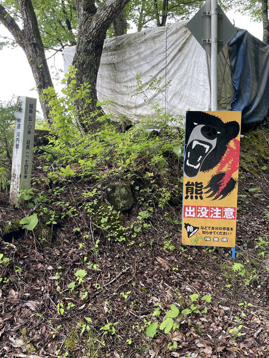 oz1199s's tweet photo. おはようございます😄

みなさま今日も一日ご安全に👍 https://t.co/r3waAQkWJf
