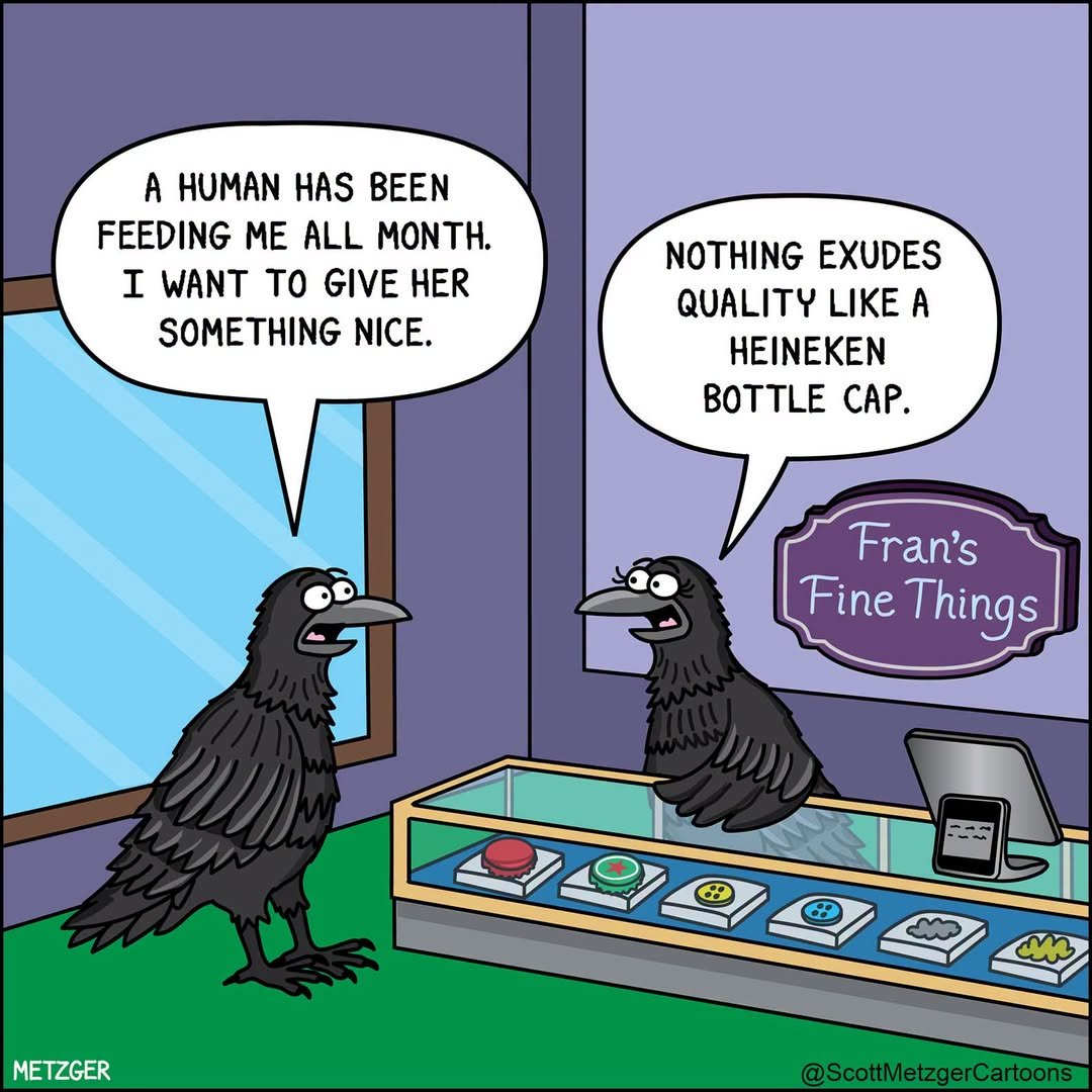LiftForever67's tweet photo. #FridayMotivation  🐦‍⬛ https://t.co/wDTWB6Fh2k