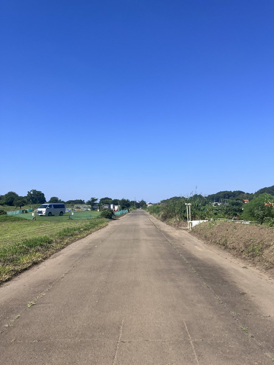 Apolloo72's tweet photo. これはもう梅雨明け？な金曜日にちょっと早起きしてテレワークのウォーミングアップ的な30分のランニング😅💦
木陰がありがたい季節になってきました。ありがとう樹々達よ🌳🌳🙏🌳🌳 https://t.co/E6ZHSC7npZ