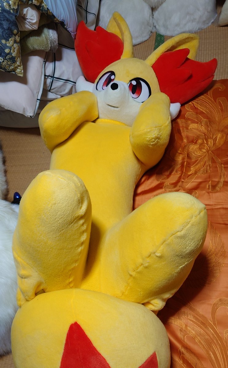 latex_sute_iru's tweet photo. #かわいいって言って
おびんじょ https://t.co/7pEe74kF83