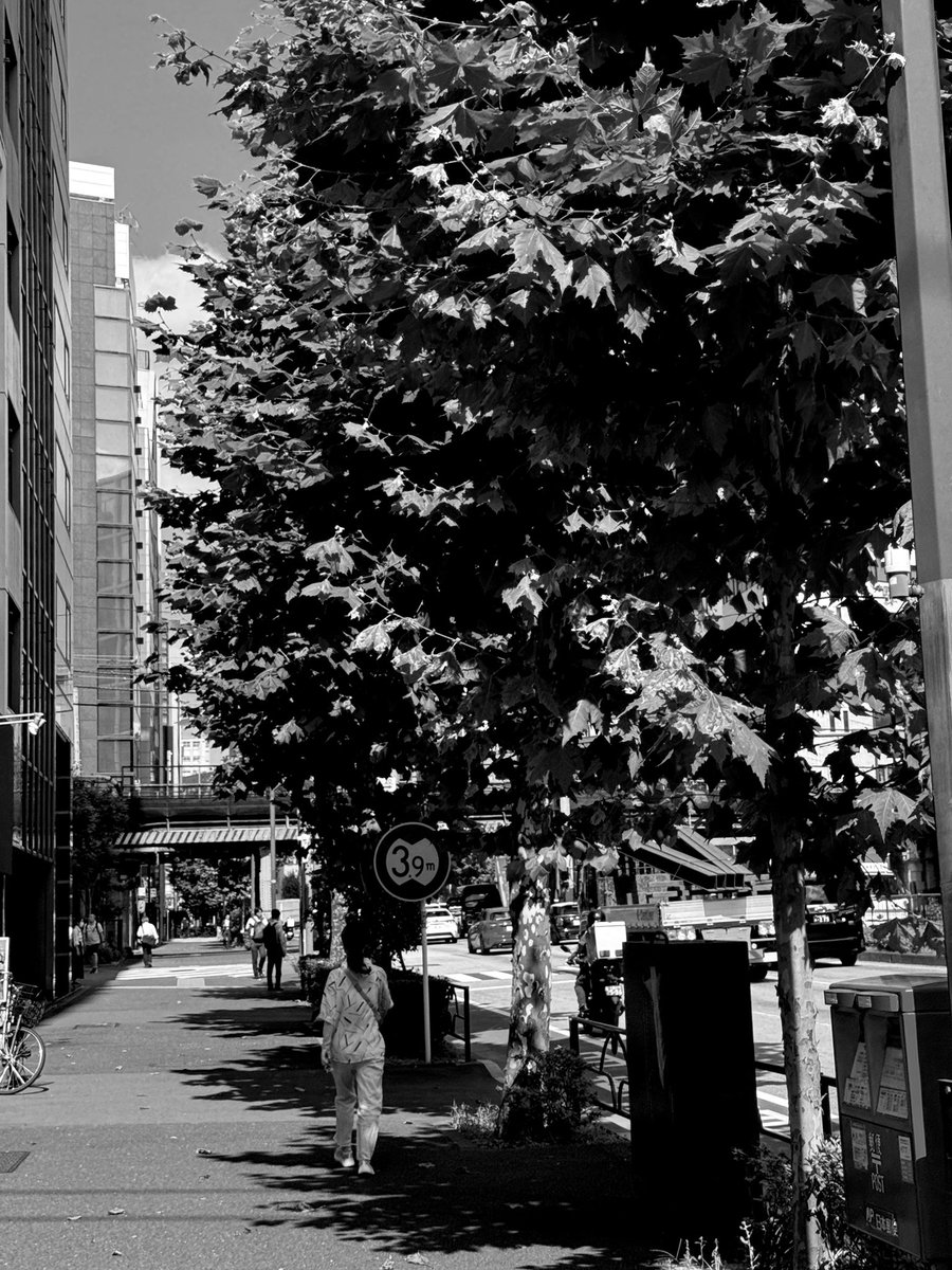 ytworks7's tweet photo. Good morning.
Today is Friday.
#monochrome #streetsnap
#photography #ytworks #iPhone https://t.co/CoXCJH6TlR
