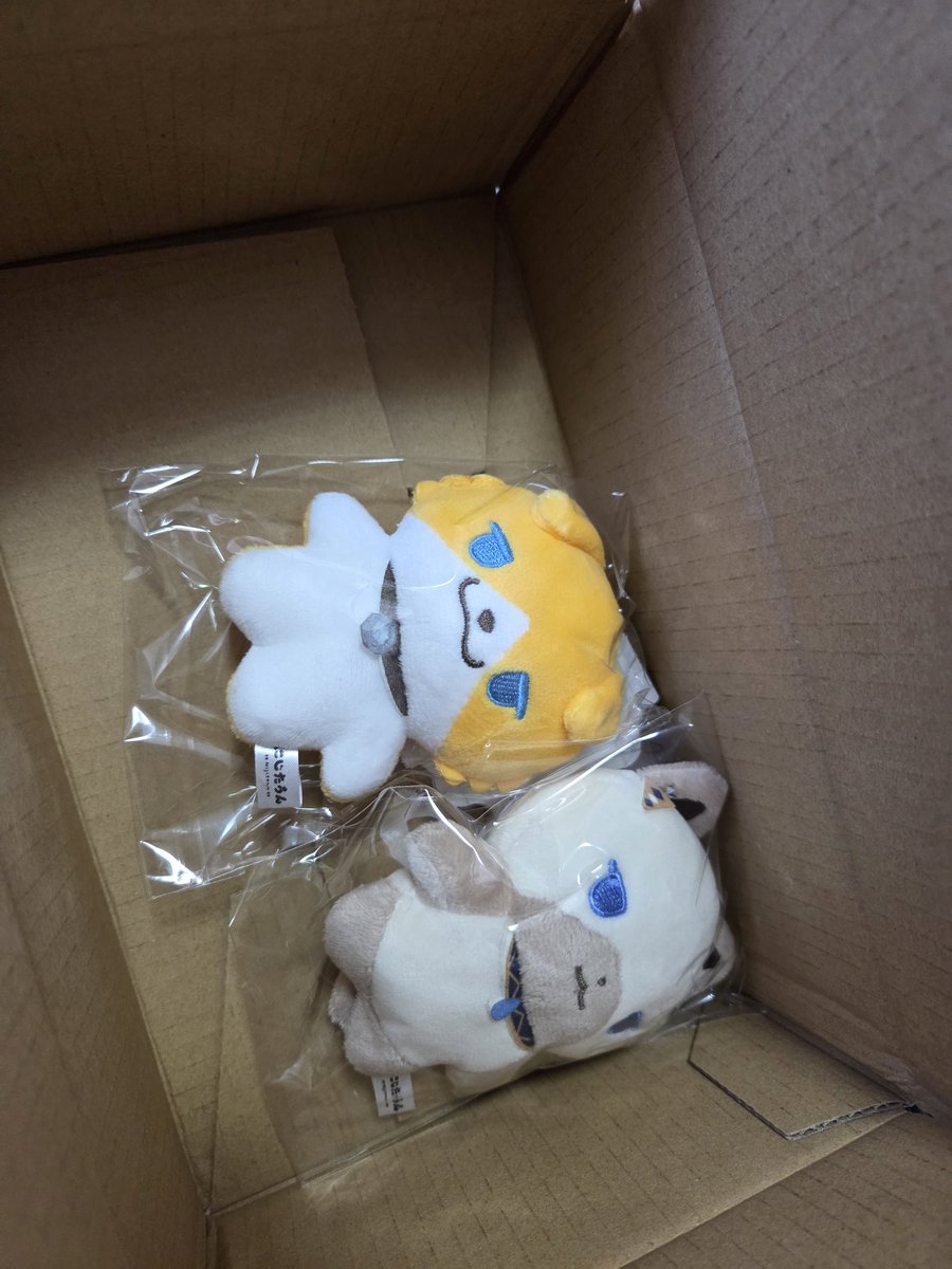 nyanonyanonya2's tweet photo. いぶたうんきた！！！
えびたうんにギュッてされながらきた！！！笑 https://t.co/fwh7fG26Gv
