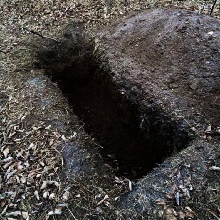 k3nnedyleon's tweet photo. on a walk….? what….? https://t.co/G56suLa6JT