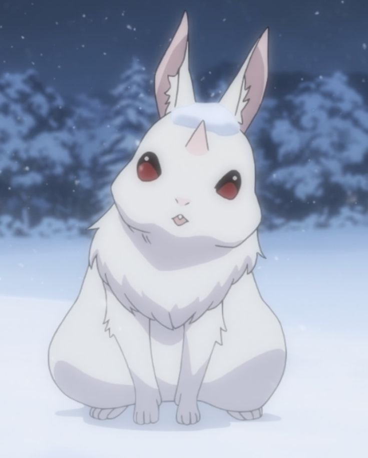 Gerfson_alves's tweet photo. @Animeeverse_ Eu realmente achei que ia ter uma cena fofa com os coelhos https://t.co/dk8dxAEXP7