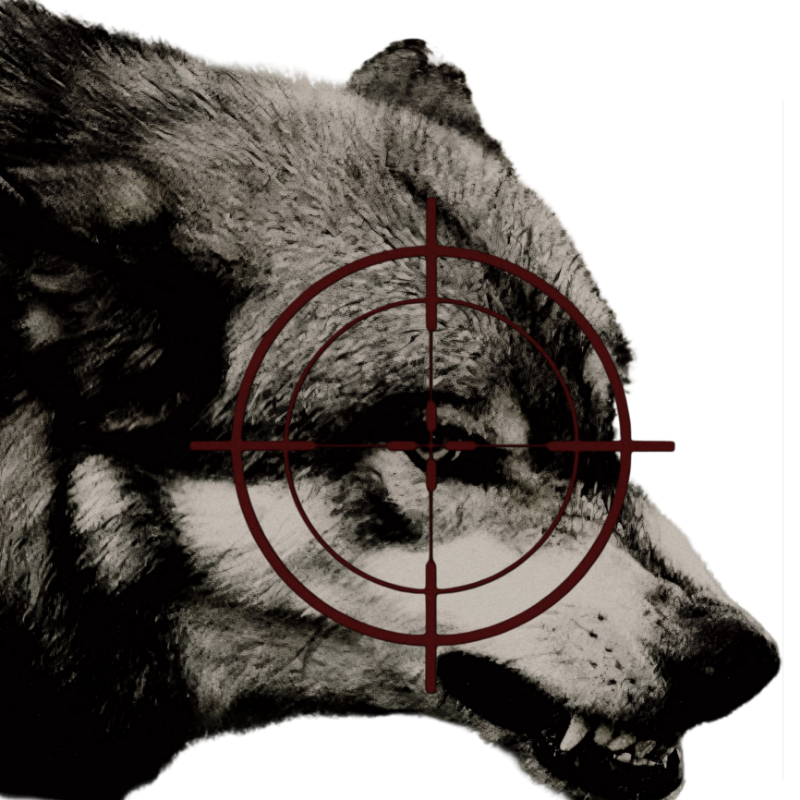 cagedbeasti's tweet photo. ᅠᅠᅠᅠᅠ https://t.co/dZweogdzfZ