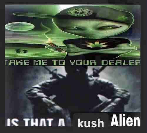 nukepapi tweet picture