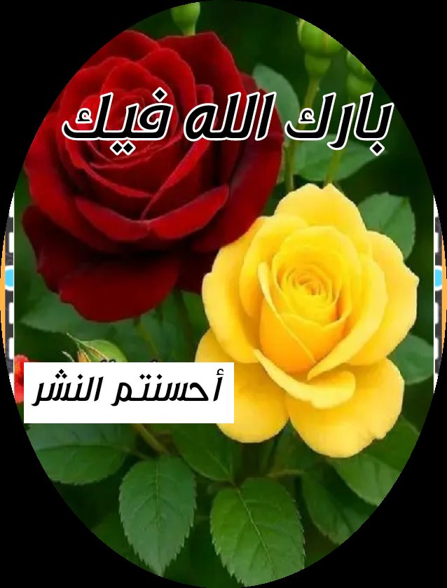KmalHwam's tweet photo. @amtalzyz1 https://t.co/YTOiixdpiU