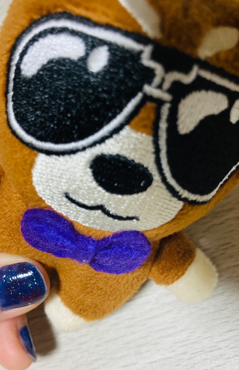 1ceblu9's tweet photo. 雅之助連れてたら、それ何のキャラ？て聞かれて鈴木雅之様のキャラ💜って答えたら、言われてみれば！！って納得された😎
めちゃかわいい🐕🕶️ https://t.co/gZ6KXShgcE