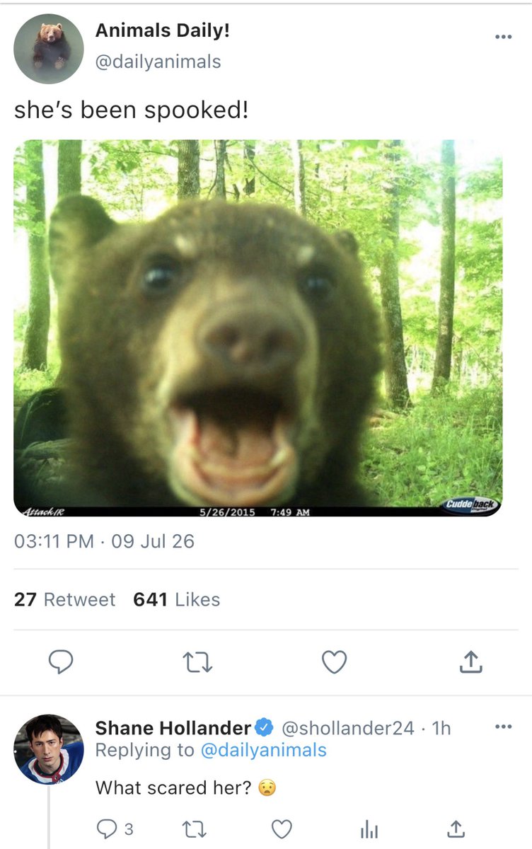 DJ4RINS's tweet photo. mini smau where shane hollander is always interacting with cute animal accounts!

inspired by ticia @roszanov bc she does this and she is shane hollander and its the cutest most endearing thing ever 🫶 https://t.co/XNg9ixDjHp