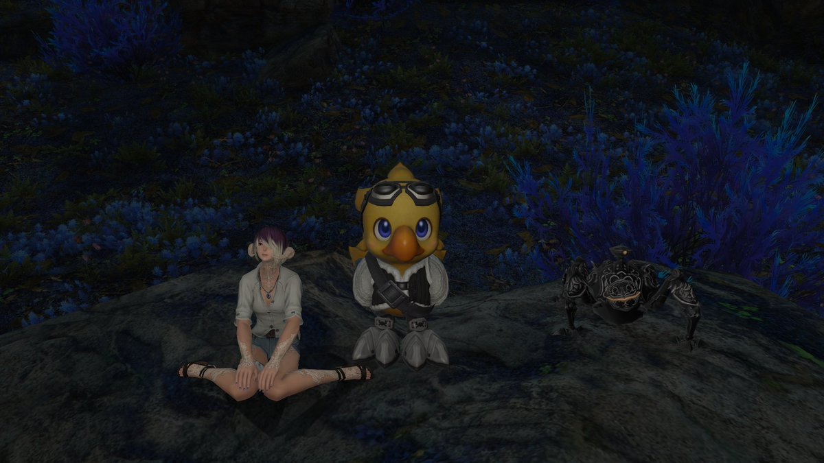 Kalula_FF14's tweet photo. そう言えば、アルファ見付けた～ https://t.co/7mLskENgtv