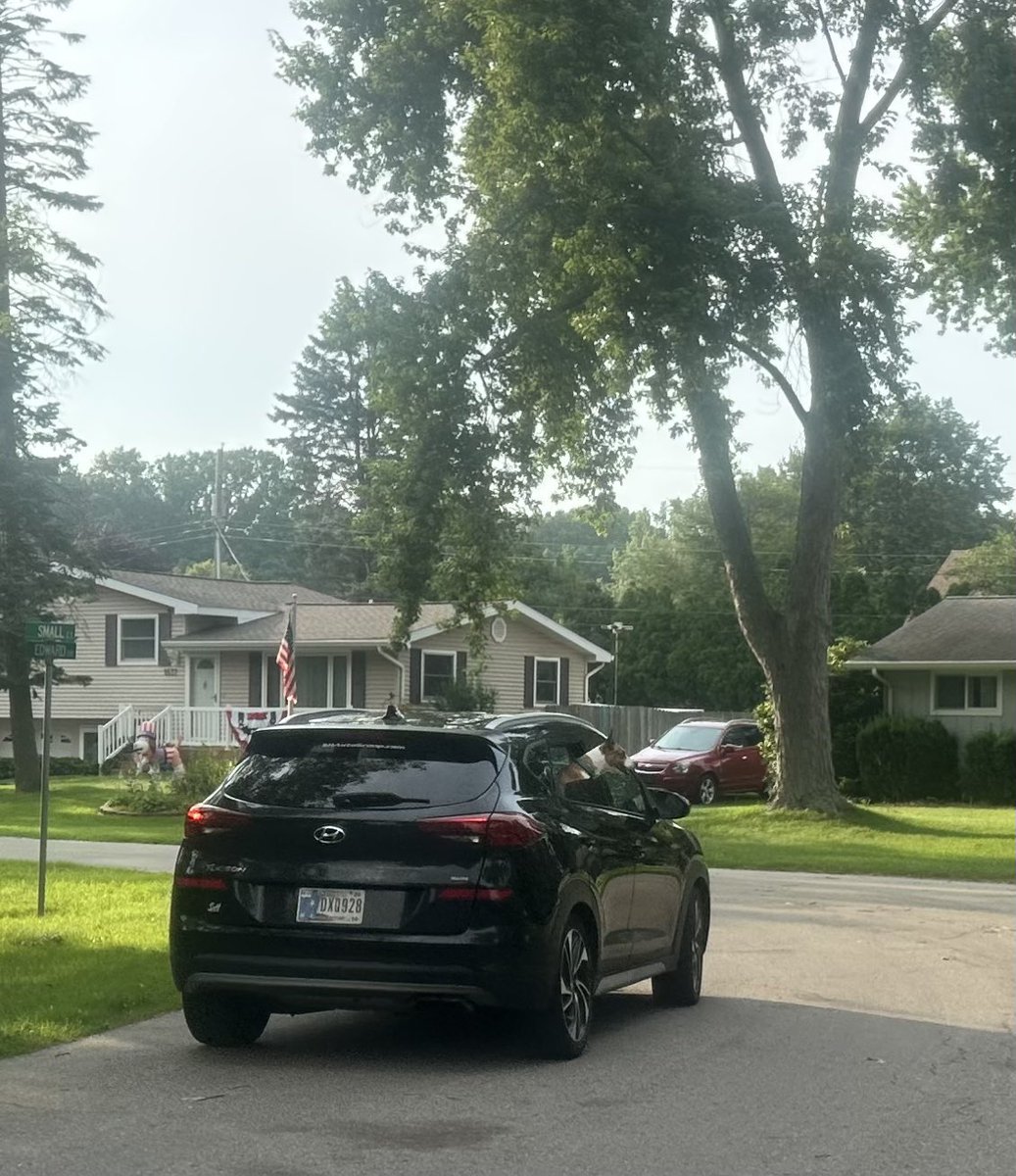 tlee0199's tweet photo. @amazon these drivers had really loud barking dogs when delivering in Stevensville MI, they scared my 7 year old autistic granddaughter, causing her to run off screaming. Are they allowed to bring untrained dogs while on deliveries? https://t.co/wBZFIjO2ma