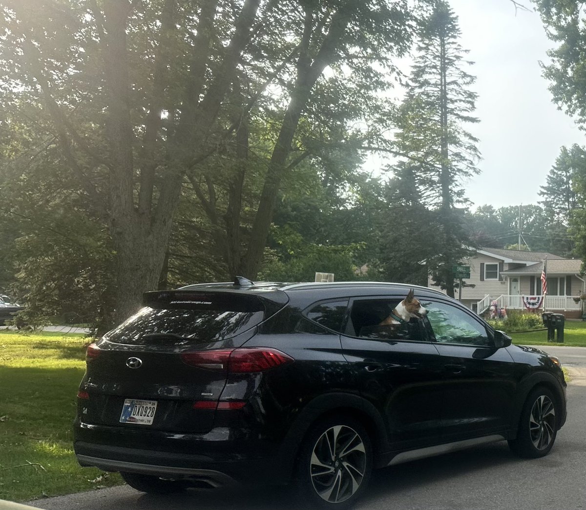 tlee0199's tweet photo. @amazon these drivers had really loud barking dogs when delivering in Stevensville MI, they scared my 7 year old autistic granddaughter, causing her to run off screaming. Are they allowed to bring untrained dogs while on deliveries? https://t.co/wBZFIjO2ma
