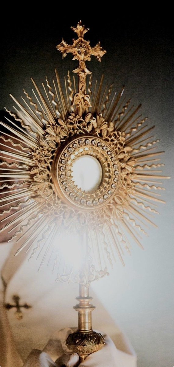 Carlaazglez's tweet photo. Hoy visité al Santísimo, como cada jueves.

Al entrar, vi a una mujer arrodillada muy cerca de Jesús, llorando con un profundo dolor. Me acerqué, toqué su hombro y solo le dije:

“Él te va a ayudar. Él te ama.”

Le di unos Kleenex y regresé a mi lugar para hacer oración.

Unos minutos después se acercó para devolverme los pañuelos. Le dije que se los quedara y le repetí:

“No sé qué estés viviendo, pero todo va a estar bien. Él nunca te abandona.”

Entonces me respondió:

“No lo conocía.”

Con una sonrisa le dije:

”¡Uf… de lo que te has perdido! Llevo más de diez años visitándolo cada jueves y puedo decir que Dios ha sido infinitamente bueno conmigo. Me ha sostenido, me ha dado paz, salud, trabajo y una familia a la que amo. Acércate a Él. Visítalo. Habla con Él. Estoy segura de que poco a poco encontrarás las respuestas que hoy buscas.”

Antes de irse me pidió un abrazo. Nos abrazamos y sentí que, a través de ese abrazo, Dios nos estaba abrazando a las dos.

Antes de despedirnos me dijo que se llama Mariana.

Hoy quiero pedirte un favor: si tienes un momento, haz una oración por ella. Dios conoce su corazón y sabe exactamente lo que necesita.

Y cuando visites al Santísimo, no solo vayas a pedir. Ora también por alguien más. Quizá un día alguien, sin que tú lo sepas, también estará orando por ti.

Dios nunca deja solo a quien lo busca con un corazón sincero. 🤍