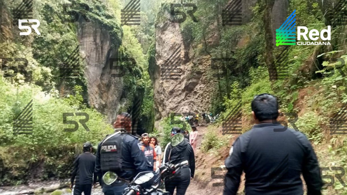 laredcincoradio's tweet photo. 🌲|| San Lorenzo Chiautzingo reforzó la vigilancia en sus zonas boscosas ante la llegada de campistas y senderistas durante el periodo vacacional. Autoridades pidieron a visitantes informar sobre su recorrido para brindar apoyo y prevenir incidentes. https://t.co/kgWYCo4FgM