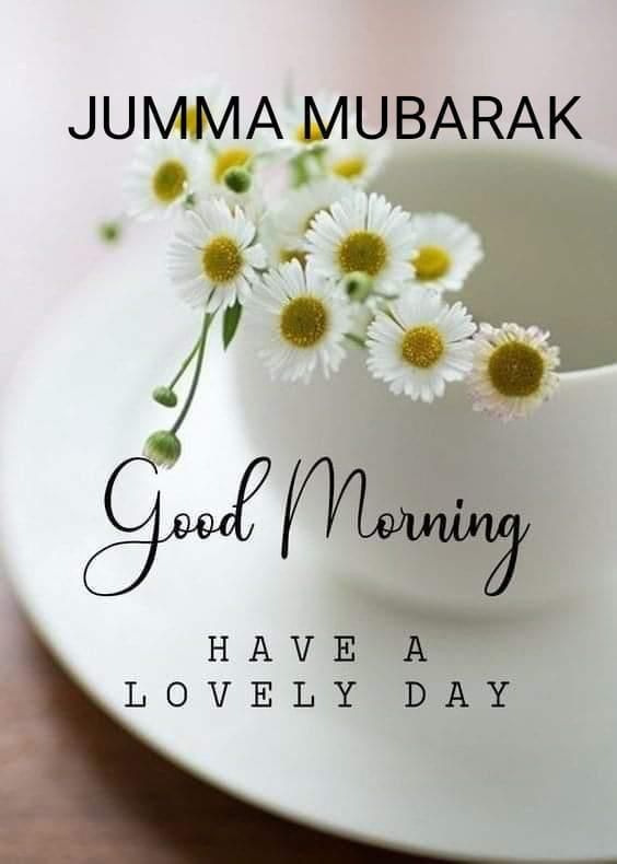 AneeDiary's tweet photo. Good Morning 
Have a lovely day🥰 https://t.co/Vxzg9e9cUL