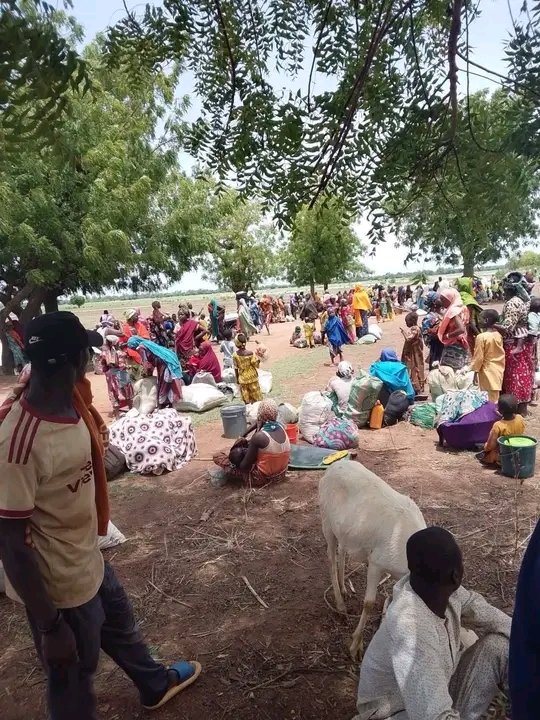 HabibaIdri40129's tweet photo. Anyone who drives you out of your home, rapes your wife, daughter, or relatives, and subjects you to killings and humiliation is not your brother.
Hausawa, know this: don't ever consider  Fulani for any reason, as your brothers;  consider them and acknowledged them, as your real  enemies. It was Fulani that committed  violence against our ancestors in 1804, reduced them to servitude in their own ancestoral home land, and are still repeating those actions today.
  any Hausa person who chooses to vote for Atiku Abubakar or any Fulani candidate is, indirectly, acting against the interests of the Hausa people.