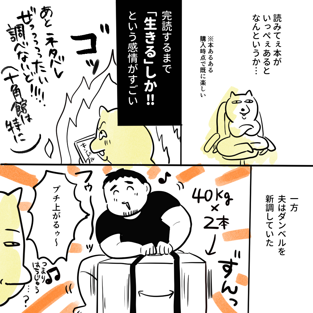Amazonセール、取り急ぎ我が家は大量の本とデカダンベルなど諸々買いました
