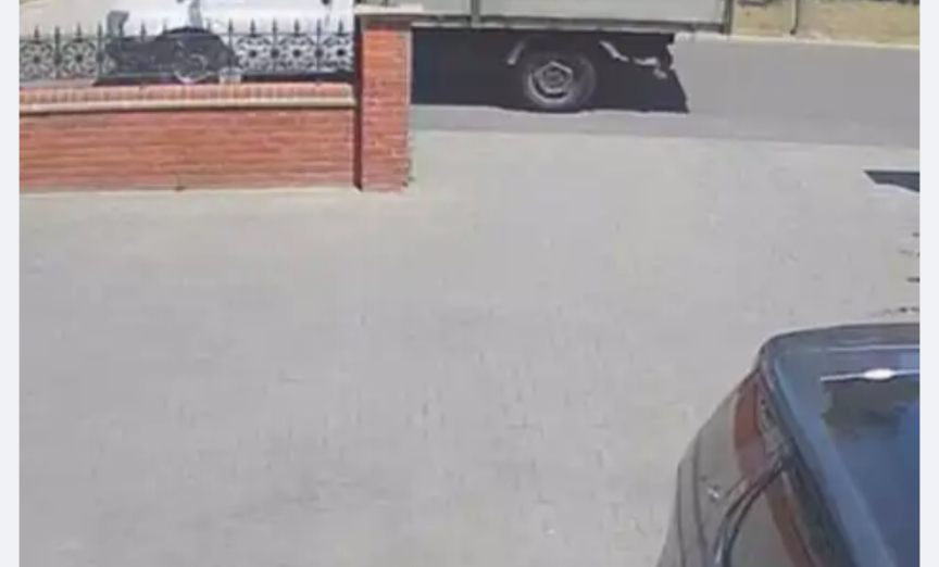 SDoxat's tweet photo. Plastic grass, paving and tarmac can't feed insects, birds or hedgehogs and will kill all soil dwelling organisms and will make the neighbourhood hotter. Please grow plants. https://t.co/E9TZTHkd90