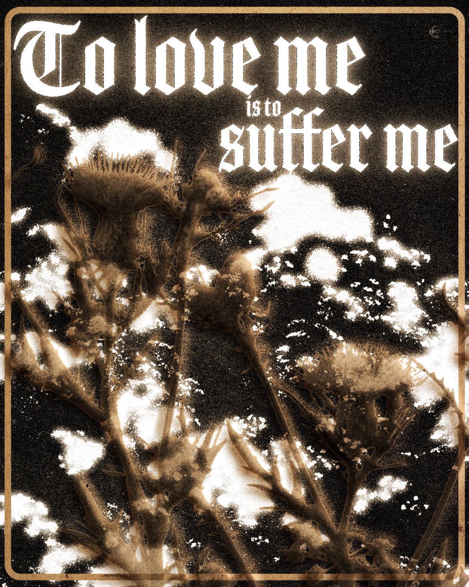 kymoneyson's tweet photo. ˚₊‧⁺⋆♱willoughby tucker, i’ll always love you by ethel cain poster design˚₊‧⁺⋆♱
this all started because of nettles. that songs just does something to me man. hope you like these :)
[🌿] #ethelcain #kymoneyson #graphicdesign #willoughbytucker #preachersdaughter https://t.co/5xrg6YhV5N