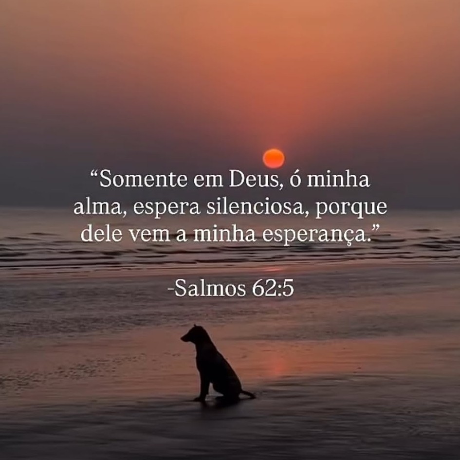 MensageirodaPa6's tweet photo. Nem toda espera é fácil. Há momentos em que o coração se agita, a mente procura respostas e o silêncio parece maior do que conseguimos suportar. Davi também conhecia dias assim. Cercado por pressões, ele não falou apenas com Deus. Ele falou com a própria alma: "Espere em Deus." https://t.co/9oebzbRDLd