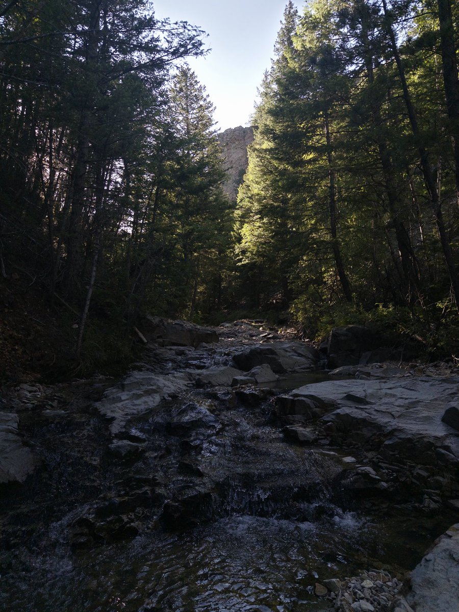lssjboros's tweet photo. Deep into mountains, walking up a stream https://t.co/EY3W6fYXEd