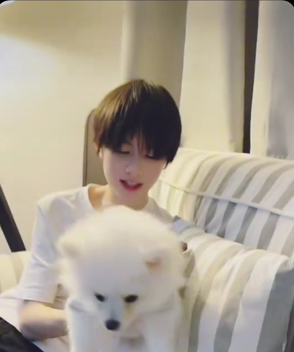 phomlaewtaeAA's tweet photo. แล้วยัยเอปี2021 ก็น่ารักมากอะ ขาวๆ ฟูๆ เหมาะสมกันทุกช่วงวัยจิงวุ้ยย 🤧 https://t.co/O4Lqqipuwx