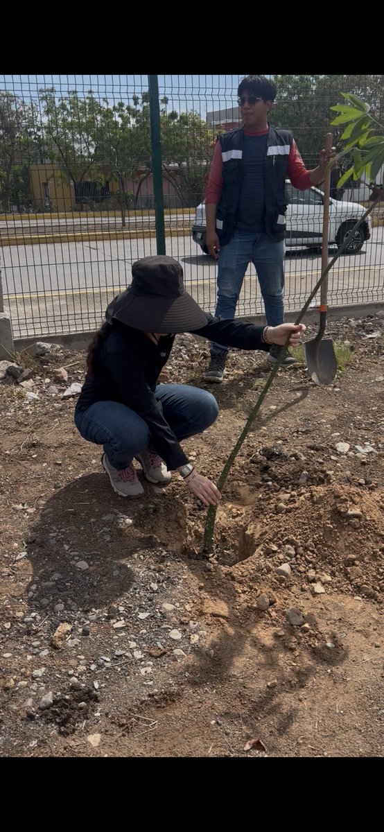 snavarrop's tweet photo. Día Nacional del Árbol 2026. Mazatlán se suma a la arborización del estero El Infiernillo dentro del programa Flor Nativa de la Dirección de Ecología y Medio Ambiente de Mazatlán. Muchas gracias por la invitación 🙌🌳🌎 https://t.co/sssTD6AM1W