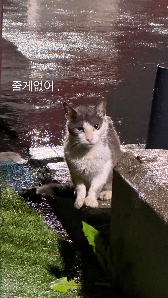 taeyongpictures tweet picture