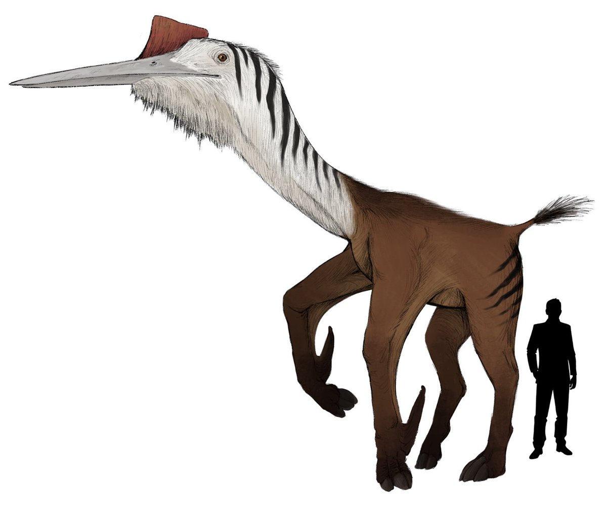 WesleysWorkshop's tweet photo. Afrolancea #pterosauria https://t.co/pIbbr4D3iD