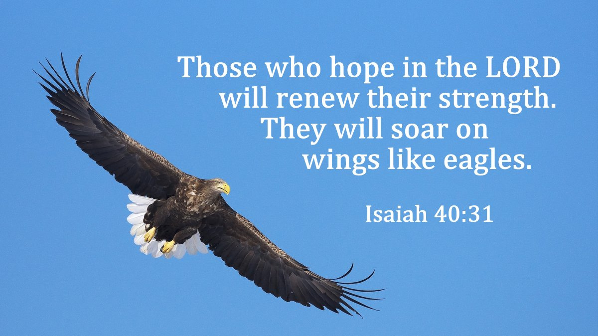 bible_line's tweet photo. Those who hope in the LORD will renew their strength. They will soar on wings like eagles. (Isaiah 40:31 NIV)

主に望みをおく人は
新たな力を得
鷲のように翼を張って上る。
走っても弱ることなく、
歩いても疲れない。

イザヤ40:31
新共同訳 #聖書 #Bible https://t.co/0y3OguVz5Q