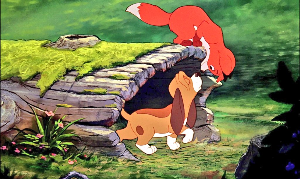 funfunfunok916's tweet photo. 本日は映画「きつねと猟犬」公開45周年の記念日。

文字通りきつねと猟犬を主人公に[許されない友情]を真摯に描いた重厚な作品で…

当時のディズニー映画の中でも異彩を放つ一本となっています。　

この作品の中で最も印象的な楽曲の一つが…[Best of Friends(君は最高だ)]。

きつねのトッドと猟犬のコッパーが出会い…親交を深めるシーンで歌われる挿入歌です。

優しいメロディとパワフルながら寛大な歌声に乗せられた歌詞は二人の仲の良さを楽しく歌い上げると同時に…

【世界が邪魔しなければ。】
【二人は境界線に気付いていない。】
【いつまでも続けばいいのに。】

等…この後二人に訪れる非情な運命を予感させるものにもなっています。

この「きつねと猟犬」は一見よくある[可愛いディズニー映画]なのですが…

実はそれまでのディズニーには無かった複雑な心理描写がいくつも成されています。

主役の二人だけでなくそれを取り巻く人々を含めた登場人物達の心情の絶妙な変化が物語を動かしていくんですよね。

ラストも決して単純なハッピーエンドではなく…

この後に続く90年代に向けて[楽しい・可愛いだけではない]…【大人にも沁みるディズニー】の雛型となった一本です。

ちなみに…ディズニスタジオ内の本格的な世代交代が初めて顕著に行われた作品でもあって。

旧世代制作陣の[伝統的ディズニーらしさの踏襲]と…

新世代制作陣の[楽しいだけではない深みのあるアニメ映画への挑戦]…

異なる二つの姿勢が絡み合い製作されている為…その両方が混在している非常に珍しい作風になっていると思います。

地味な印象が強いかもしれませんが…実はディズニーアニメーションの大きな転換点となった映画なんですよね。

立場の違う存在同士の友情。

これを変に美化する事なく地道に真摯に描ききった…正に隠れた傑作。

特に個人的には物語の為のキャラクターではなく…キャラクター達の感情が物語を動かしていくというその展開が本当に素晴らしいと思うんですよね。

トッド、コッパー、そして人間のトゥイード夫人やエイモス…。

彼らの揺れ動くドラマチックな感情ドラマが観ている人の胸を打ちます。

そしてそんな今作を最も象徴しているのがこの楽曲。作品で描きたい事をこの短い一曲の中に見事に閉じ込めています。

未見の方にはこの楽曲と共に…切なくも優しい友情の物語を是非一度味わってみて頂きたいですね♪

45周年…おめでとうございますでした！