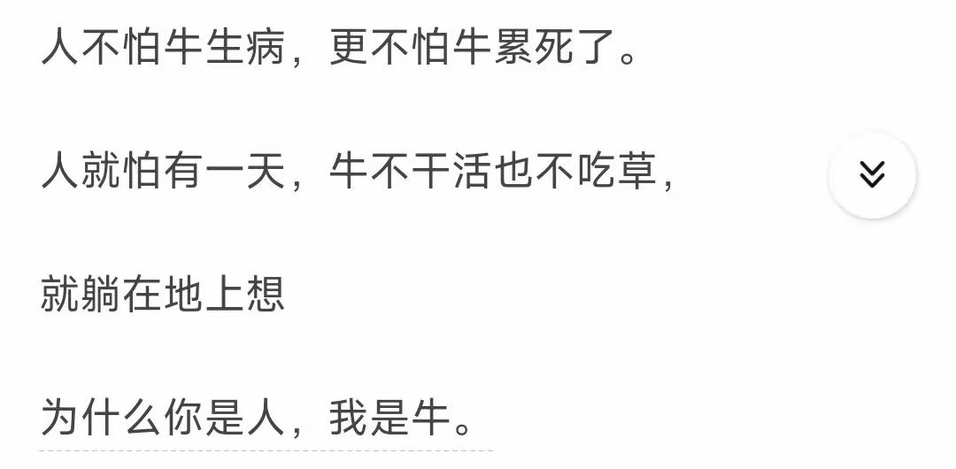 xiaoyeqin tweet media