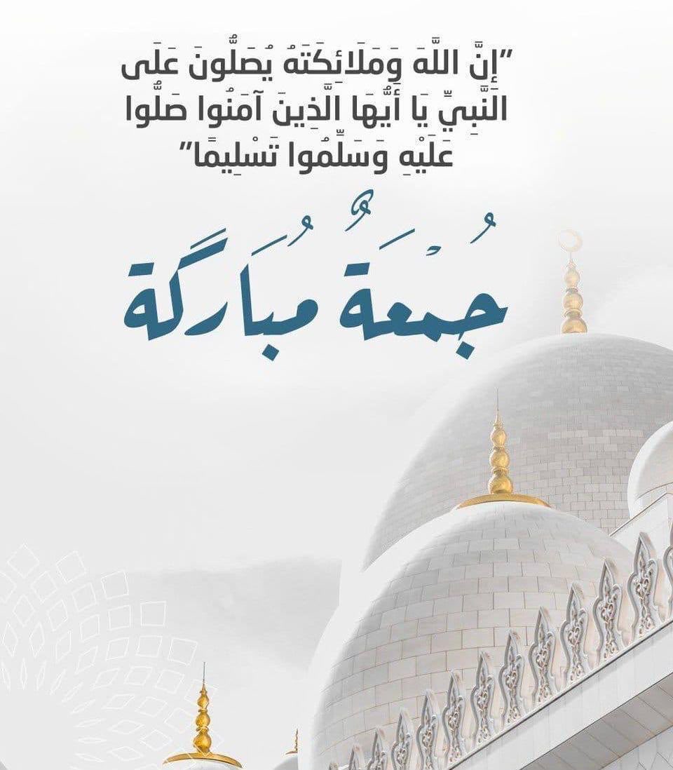 binzhran1 tweet picture