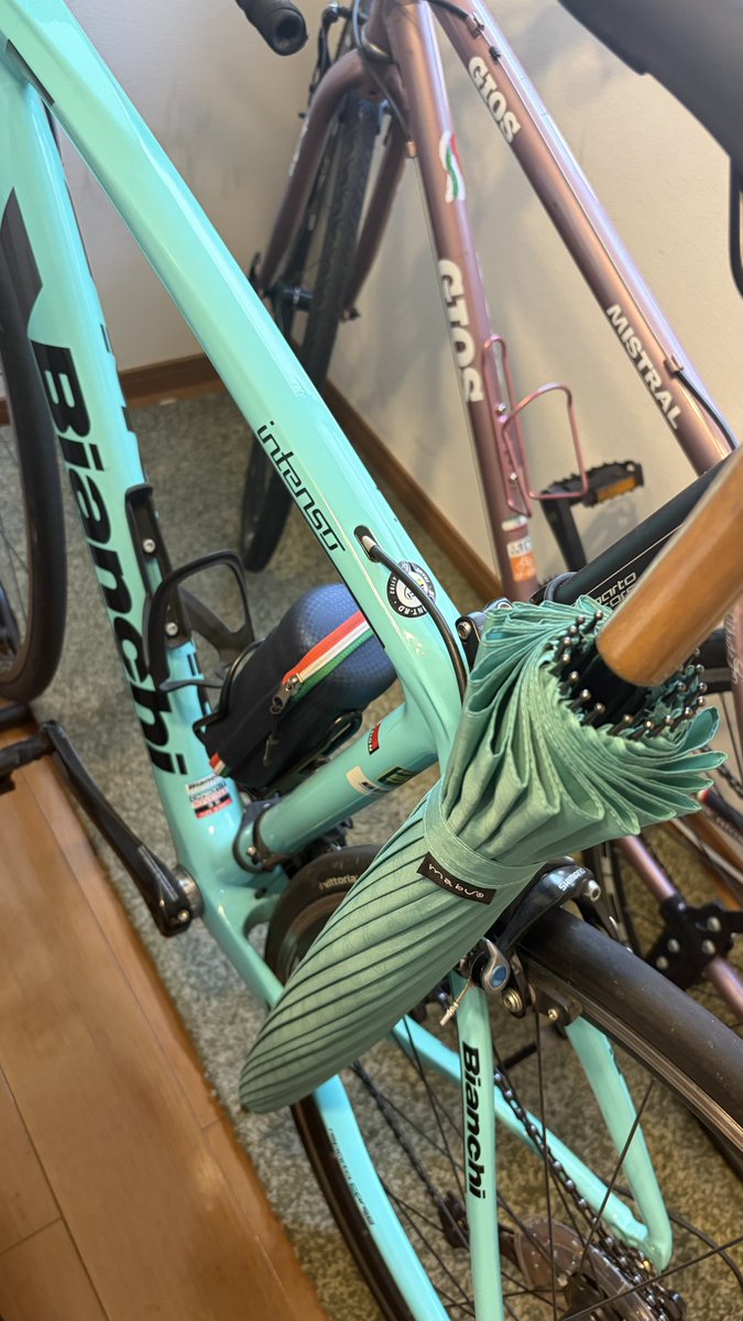 DASHVIR's tweet photo. Aujourd’hui il fait beau, mais la saison de pluie semble encore durer, donc j’ai acheté un parapluie bleu céleste. 

Je préfère l’Italie à la France pour le vélo. https://t.co/U2aOIODTgH