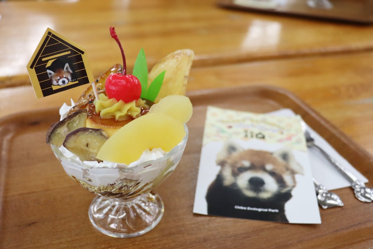 SbbFFBE2sVWOBjf's tweet photo. プリン・ア・ラ・ふーた🍮
やっと食べられました✨
硬めのプリンでとても美味しゅうございました😋
#レッサーパンダ #風太 #世界最高齢 #23歳 
#千葉市動物公園 https://t.co/pb615tVLiD