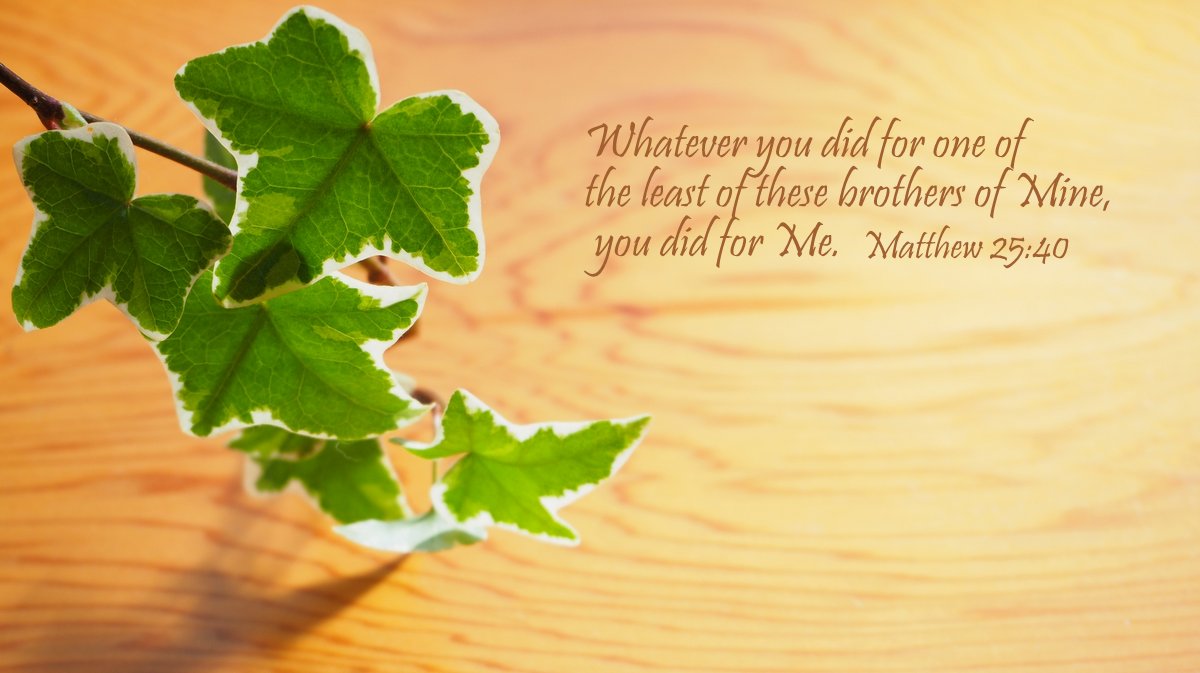 bible_line's tweet photo. Whatever you did for one of the least of these brothers of Mine, you did for Me. (Matthew 25:40 HCSB)

わたしの兄弟である
この最も小さい者の一人にしたのは、
わたしにしてくれたことなのである。

イエス・キリスト
マタイ25:40
新共同訳 #聖書 #Bible https://t.co/xYjxJfTAO5