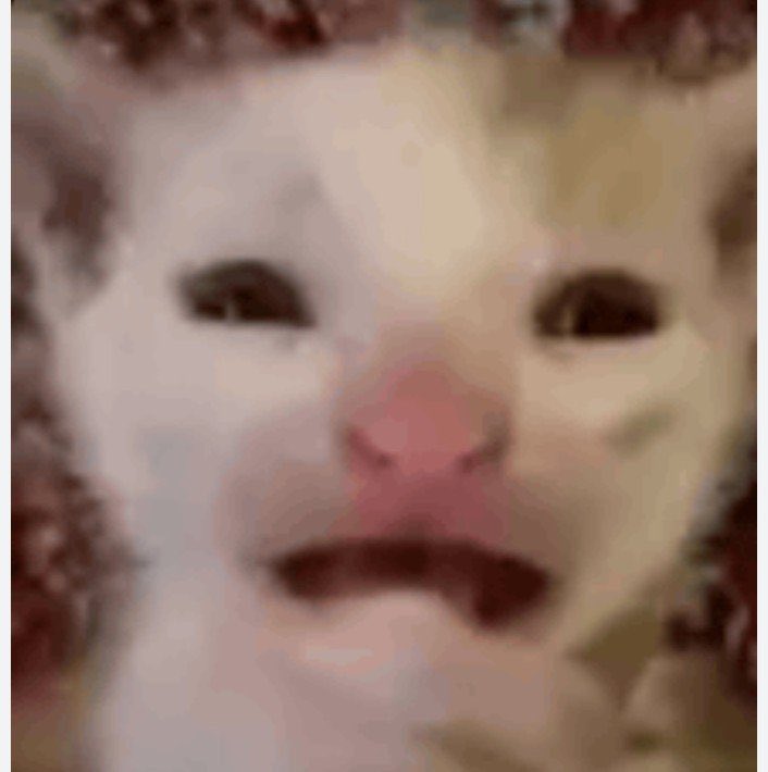 Noiraimata's tweet photo. NOOOO MY 2026 FULL OF BREAKUP NEWS https://t.co/3PXeyL60yA