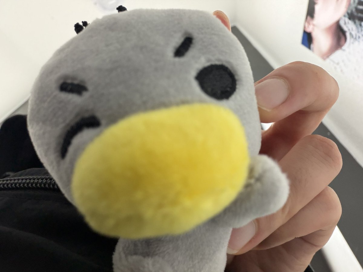 tmtmtjju's tweet photo. 꼬꼬랑 의주 https://t.co/WLEnH03s6W