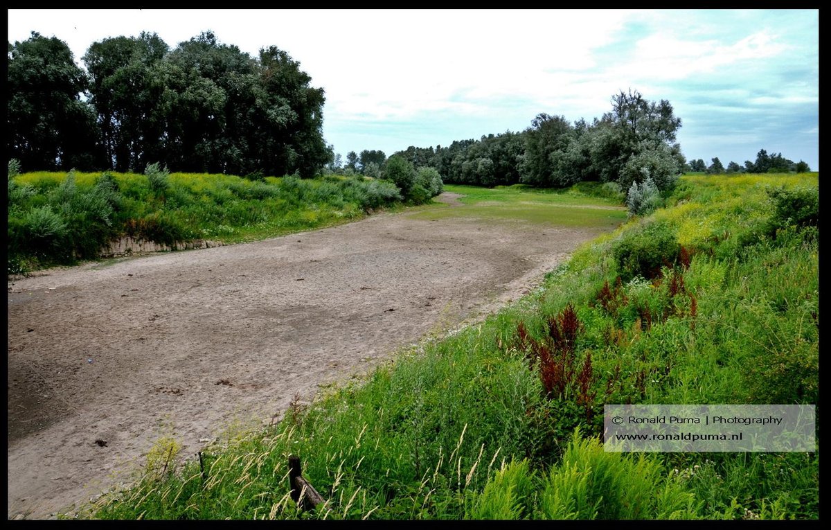 RonaldPumaPhoto's tweet photo. Juli 2026 #Nijmegen #Netherlands. De #waterstand van de #rivieren daalt door weinig regenval en smeltwater uit #Zwitserland. Schepen kunnen minder vervoeren. #Waal #Rijn #Arnhem #Lobith.  (Fotoreportage: https://t.co/Ha9YBeByfu). https://t.co/GpJsReYkit