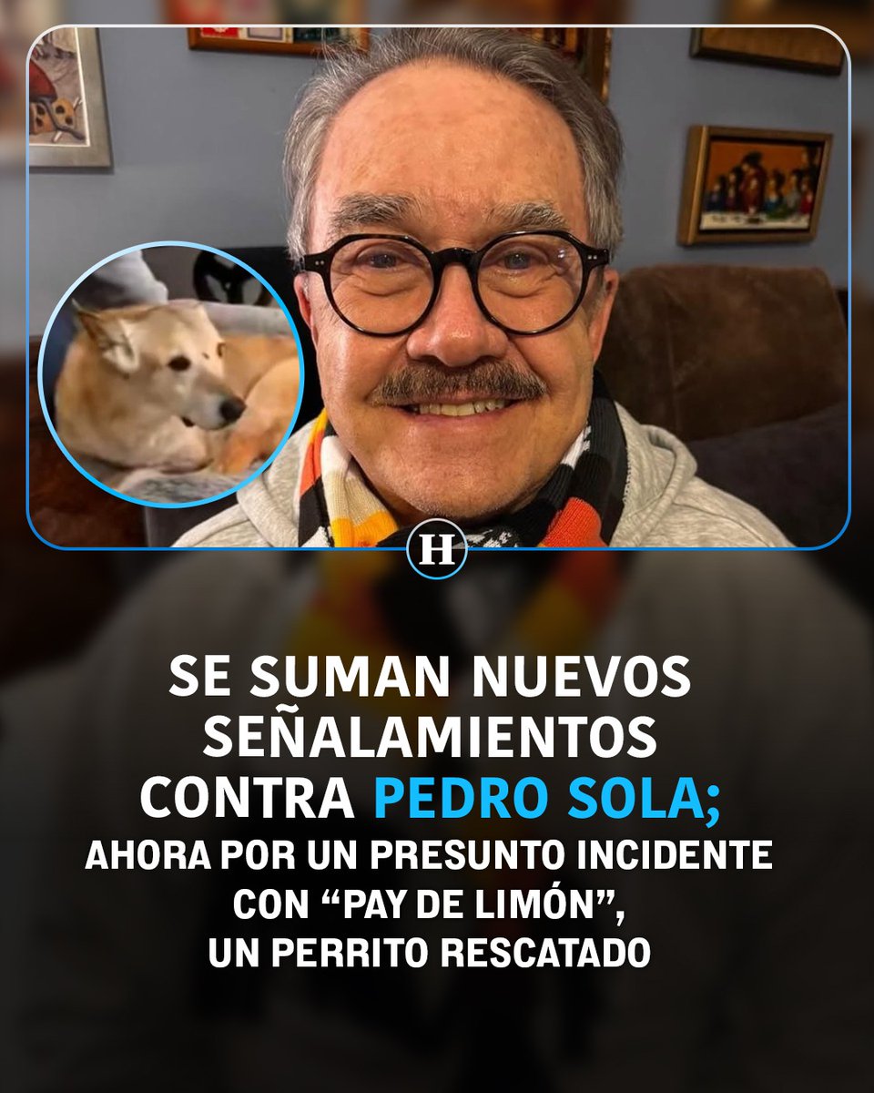 heraldodemexico's tweet photo. ¡Sigue la polémica y Pedro Sola es protagonista! Luego de que el conductor se disculpara por sus comentarios sobre los perritos, en redes sociales volvió a cobrar fuerza el testimonio de la dueña de “Pay de Limón”, un perro rescatado cuya historia conmovió a miles de personas.

La mujer recordó una experiencia que vivió durante una visita al famoso programa donde es conductor. Aseguró que Pedro Sola pidió que retiraran al perro cuando este intentó acercarse. Sus declaraciones han reavivado el debate entre los usuarios en redes sociales. 🐶