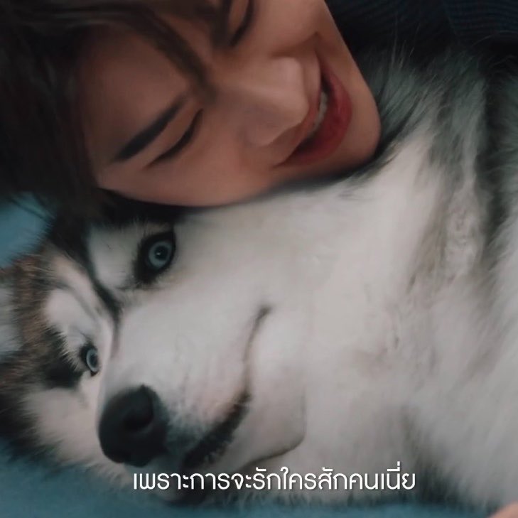 malil_mell's tweet photo. ต้องการความช่วยเหลือทุกตัว5555555 https://t.co/FeENlQy1Wm