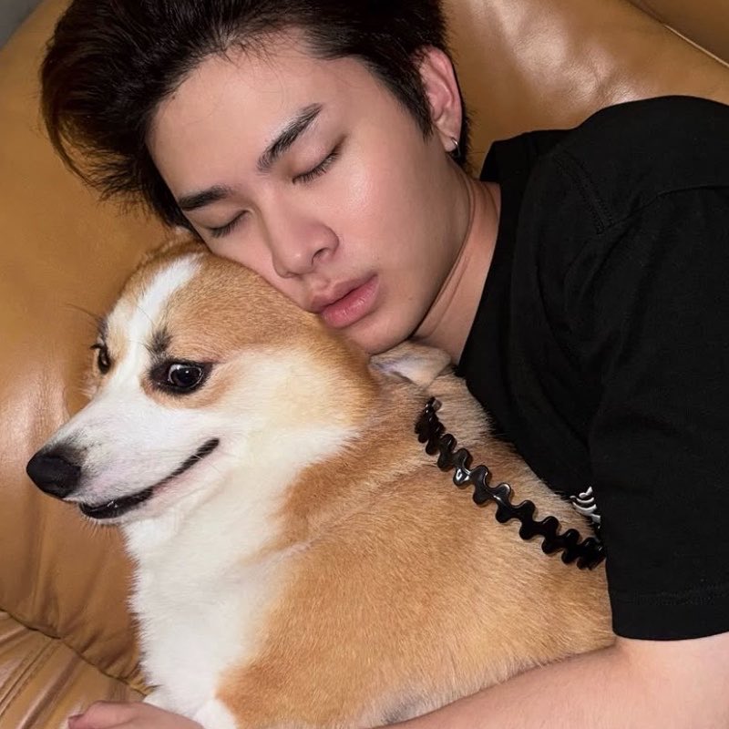 malil_mell's tweet photo. ต้องการความช่วยเหลือทุกตัว5555555 https://t.co/FeENlQy1Wm