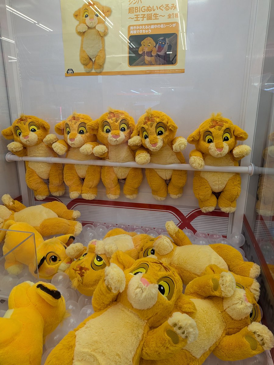 クレーンゲーム景品新入荷情報 「シンバ 超BIGぬいぐるみ 〜王子誕生