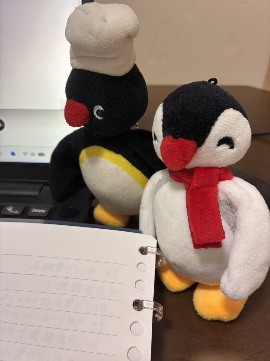 a1025LK's tweet photo. 院試の勉強をするとき、大抵近くにいる https://t.co/n5K76zcDEc