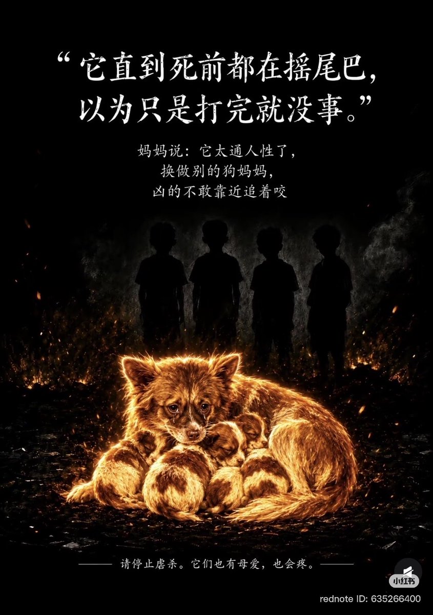zh63378's tweet photo. We are not asking for the impossible; we are asking for compassion and empathy to be written into law. No living creature should be tortured to death while the law stands by in silence. It’s the minimum any civilized society should provide. https://t.co/bSSk6ugJRO