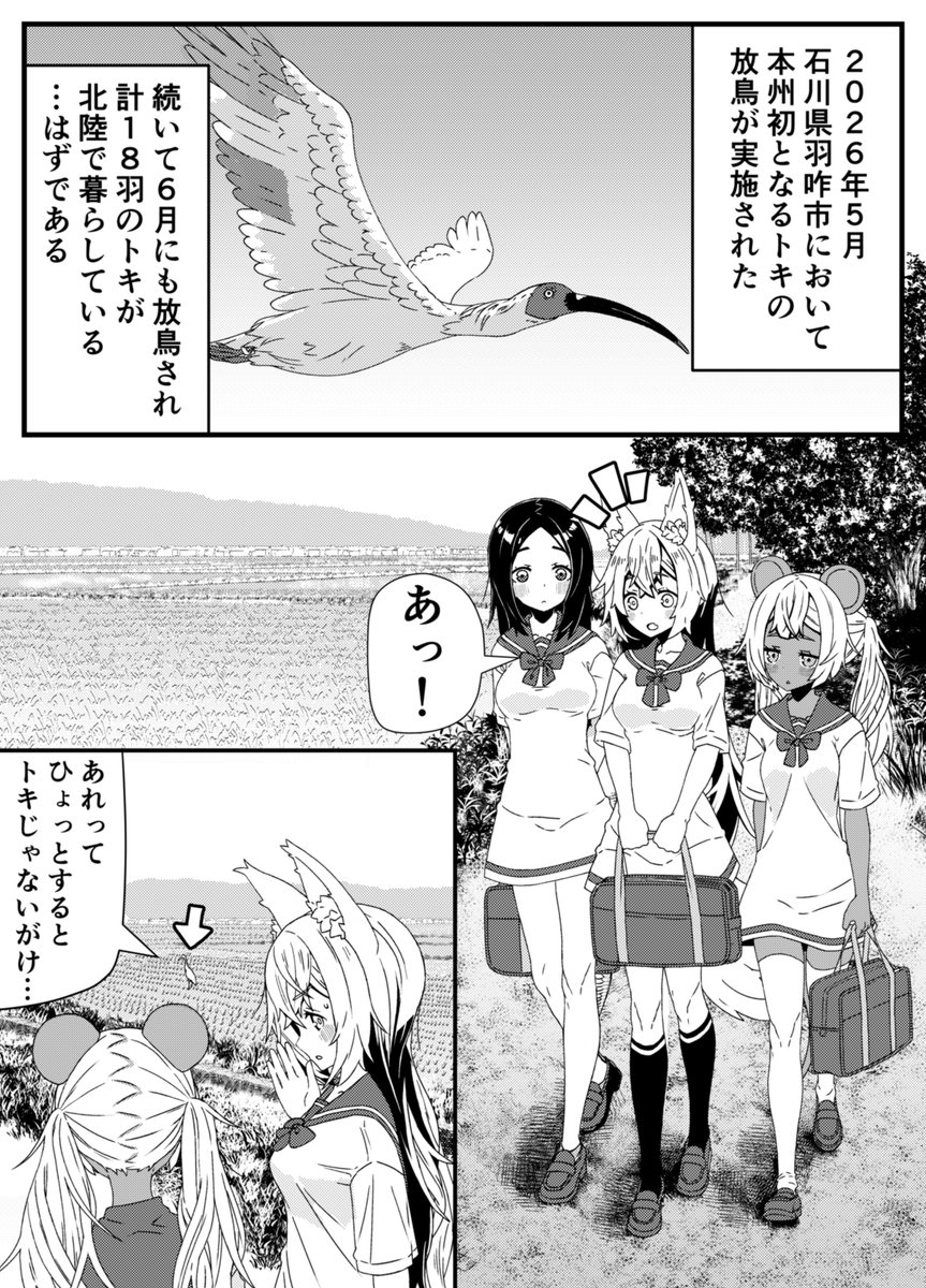 TznTsurugi's tweet photo. ＃マンガ
トキ放鳥記念式典…私も行きたかった…
トキ放鳥（1/3） https://t.co/DRdgE7Hmz2